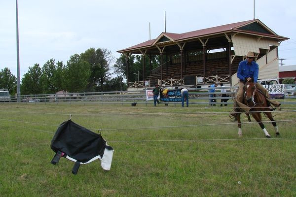 Equestrian Events & Competitions